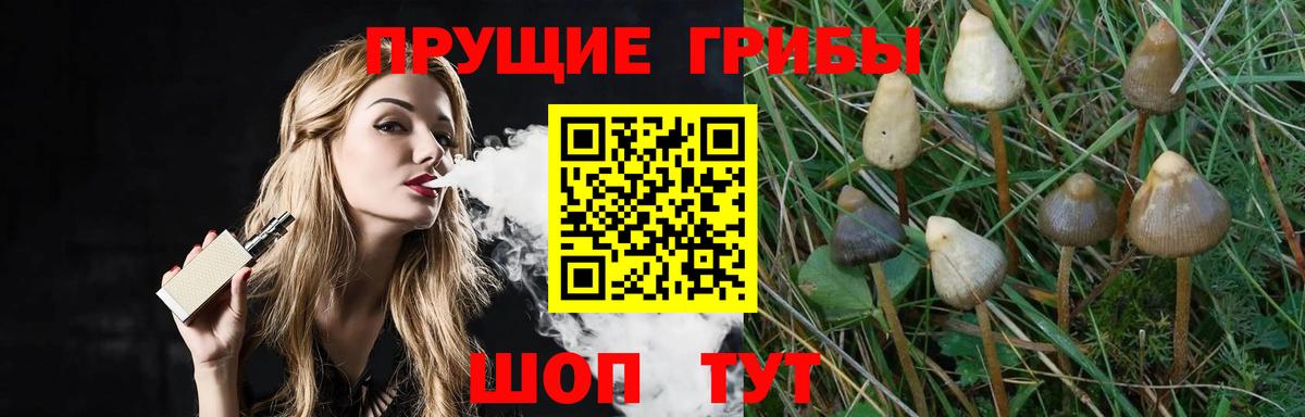 Псилоцибиновые грибы Cubensis  Вход с VPN  Набережные Челны  Галлюциногенные грибы MAGIC MUSHROOMS 